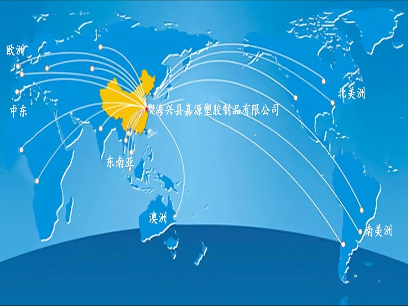 General distribution of global customers