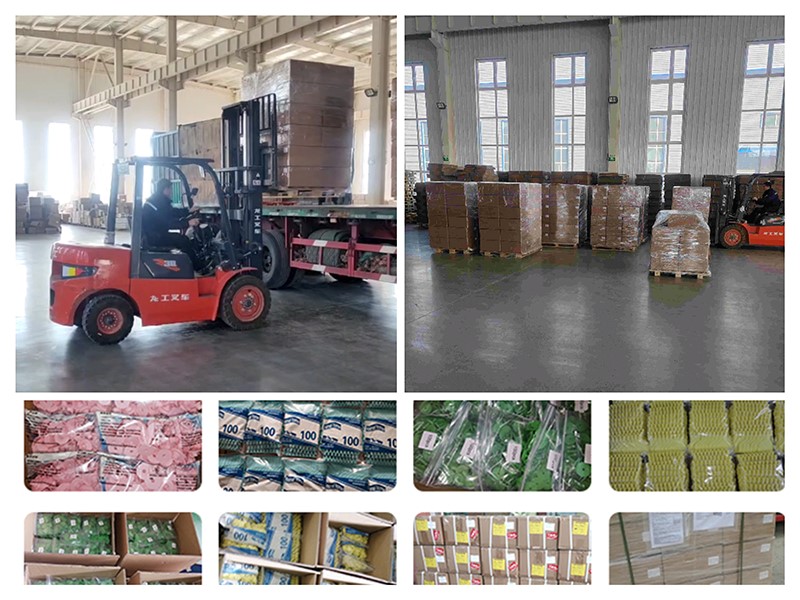 Packing Picture and Container Picture