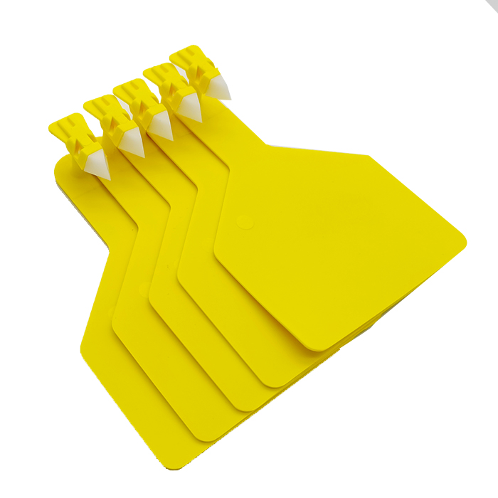 Etiquetas visuales para ganado de una pieza con punta blanca Maxi