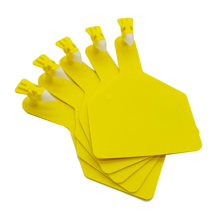 Etiquetas visuales para ganado de una pieza con punta blanca Maxi