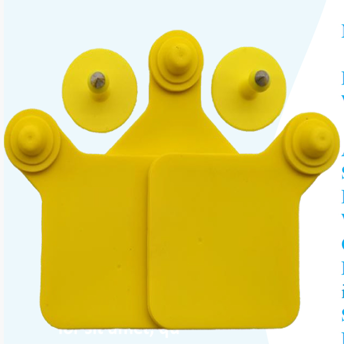 UHF Two-Piece EID Ear Tags Rhomboid Female Button Male