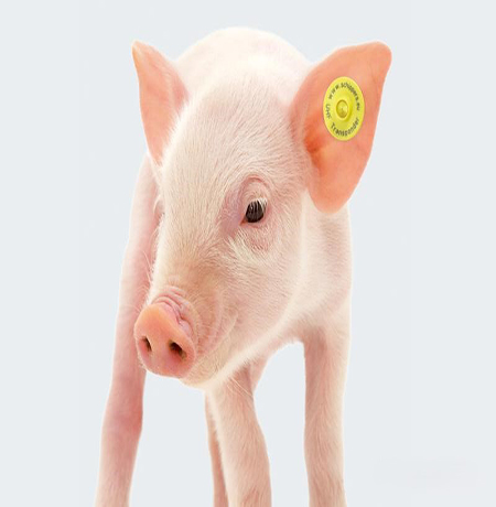 management-advantages management-advantages