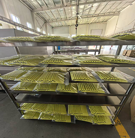 20250704 新闻图片2.jpg 20250704 新闻图片2.jpg