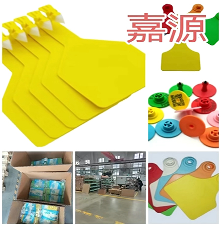 20250928 一分钱一分货-首图-新闻.jpg