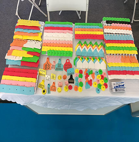 4-新闻.jpg 4-新闻.jpg