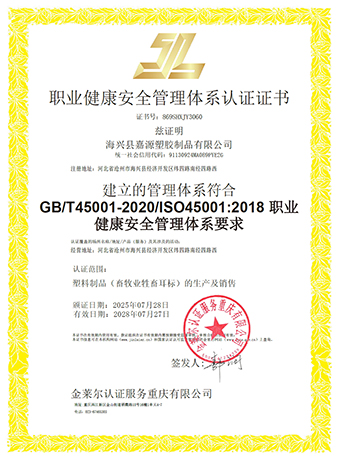 ISO45001 Certificate (Haixing) 中文.jpg