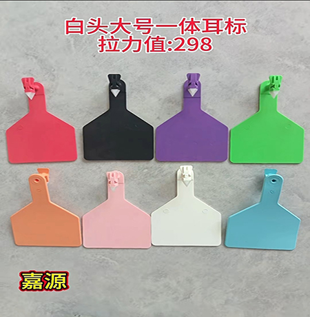 20261019 白头一体大标拉力测试 (1)-新闻.jpg